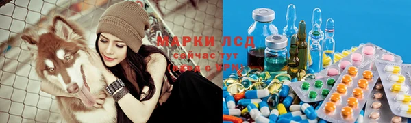 МДПВ Краснослободск