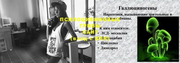 МДПВ Краснослободск
