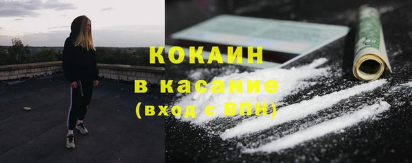ешки Бикин