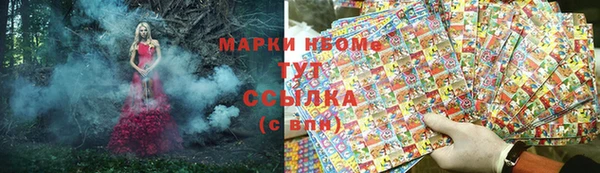 МДПВ Краснослободск