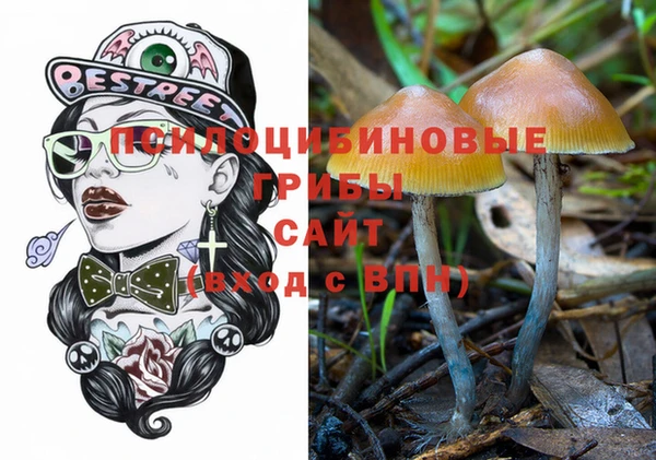 МДПВ Краснослободск