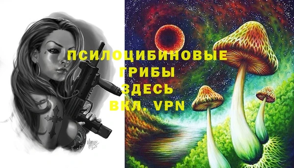 МДПВ Краснослободск