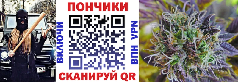 Бошки Шишки сатива  Купить закладки  Моздок 